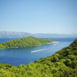Mljet Island Tourism UAE