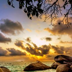 Pulau Bintan Tourism UAE