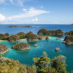 Raja Ampat Tourism UAE