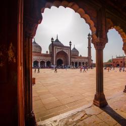 Delhi NCR Tourism UAE