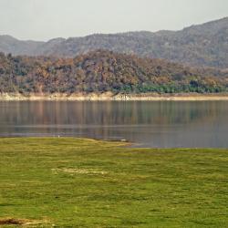 Jim Corbett National Park Tourism UAE