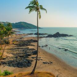 North Goa Tourism UAE