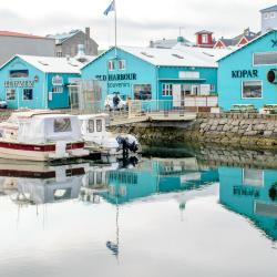 Reykjavik Old Harbour, Reykjavík Tourism UAE