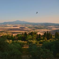 Tuscany Tourism UAE