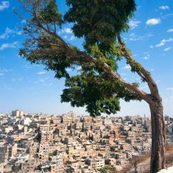 Amman Tourism UAE