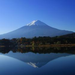 Mount Fuji Tourism UAE