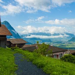 Triesenberg Tourism UAE