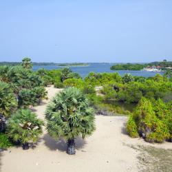 Batticaloa District Tourism UAE