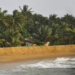 Kalutara District Tourism UAE