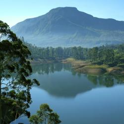 Matale District Tourism UAE
