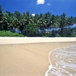 Mirissa Tourism UAE