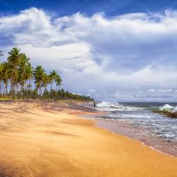 Negombo Tourism UAE