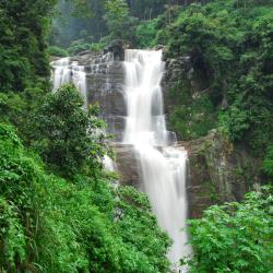 Nuwara Eliya Tourism UAE
