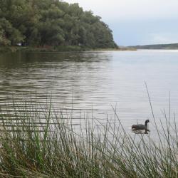 Kénitra Tourism UAE