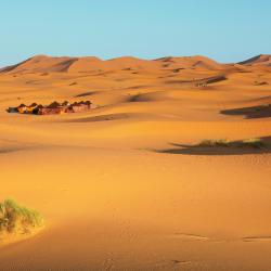 Merzouga Tourism UAE