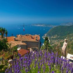 Exotic Garden of Monaco, Monte Carlo Tourism UAE