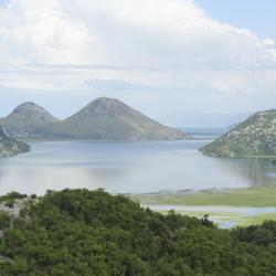 National Park Skadar Lake Tourism UAE