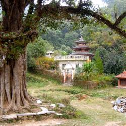 Bandipur Tourism UAE