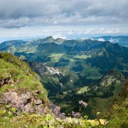 Coromandel Peninsula Tourism UAE