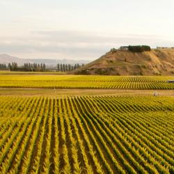 Hawke's Bay Tourism UAE