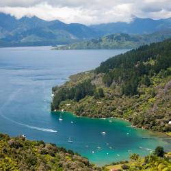 Marlborough Sounds Tourism UAE