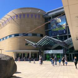 Te Papa Museum, Wellington Tourism UAE
