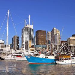 Viaduct Harbour, Auckland Tourism UAE