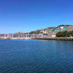 Wellington Tourism UAE