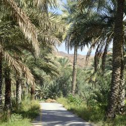 Al Ḩamrāʼ Tourism UAE