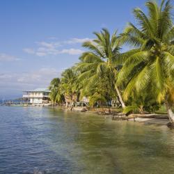 Carenero Island Tourism UAE