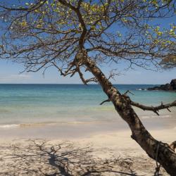 Chiriqui Tourism UAE