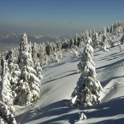 Szczyrk Tourism UAE