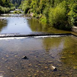Wisla Tourism UAE