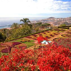 Funchal Tourism UAE