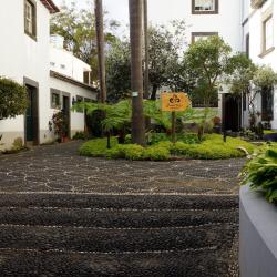 Funchal's Museum of Natural History, Funchal Tourism UAE
