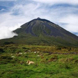Pico island Tourism UAE