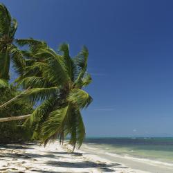 Grand'Anse Praslin Tourism UAE