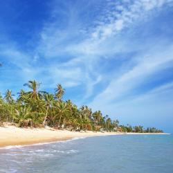 Koh Samui Tourism UAE