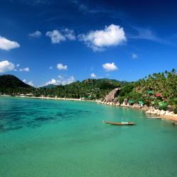 Koh Tao Tourism UAE