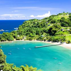 Scarborough Tourism UAE