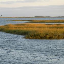 Cape Cod Tourism UAE