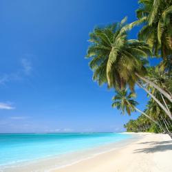 Hawaii Tourism UAE
