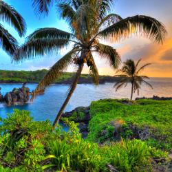 Maui Tourism UAE