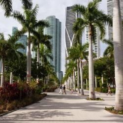 Miami Tourism UAE
