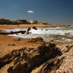 La Paloma Tourism UAE