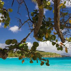 St Thomas Tourism UAE