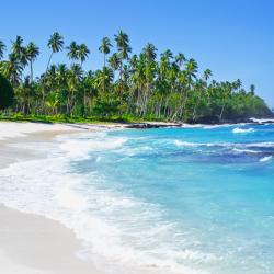 Savaii Tourism UAE