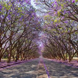 Harare Tourism UAE